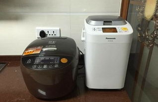 面包机选购指南 哪些品牌值得推荐？
